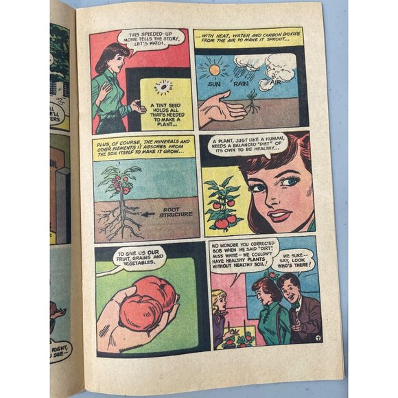 Swift & Co The Winning Combination Comic Daily Foods Essential For Good Health - Picture 3 of 6